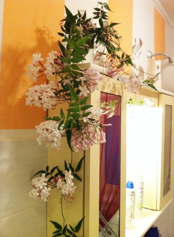 Casa "Oasi" Centro Storico Apartment Тоскана Екстериор снимка